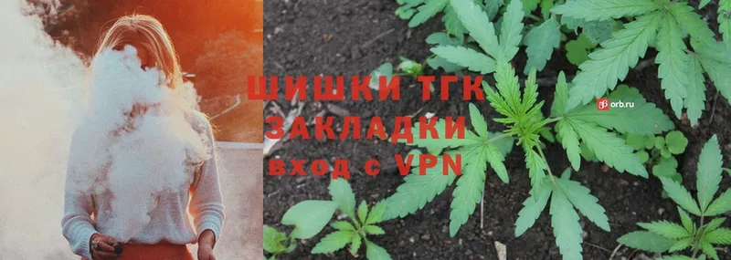 Конопля SATIVA & INDICA  Старая Русса 